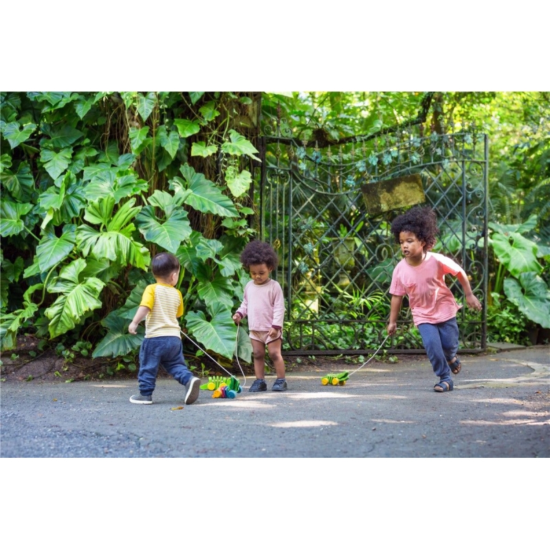 Cocodrilo Bailarin - Plan Toys