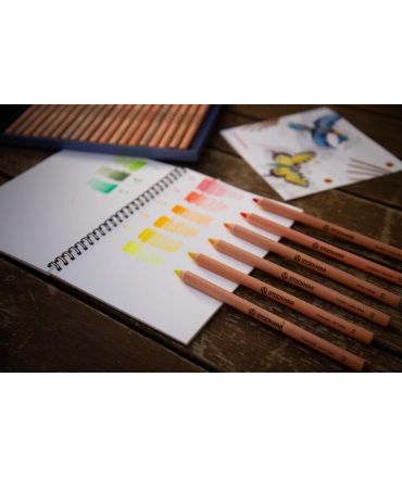 Lápices de Madera 12 colores Waldorf Stockmar - Aúpa Organics