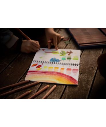 Lápices de Madera 12 colores Waldorf Stockmar - Aúpa Organics