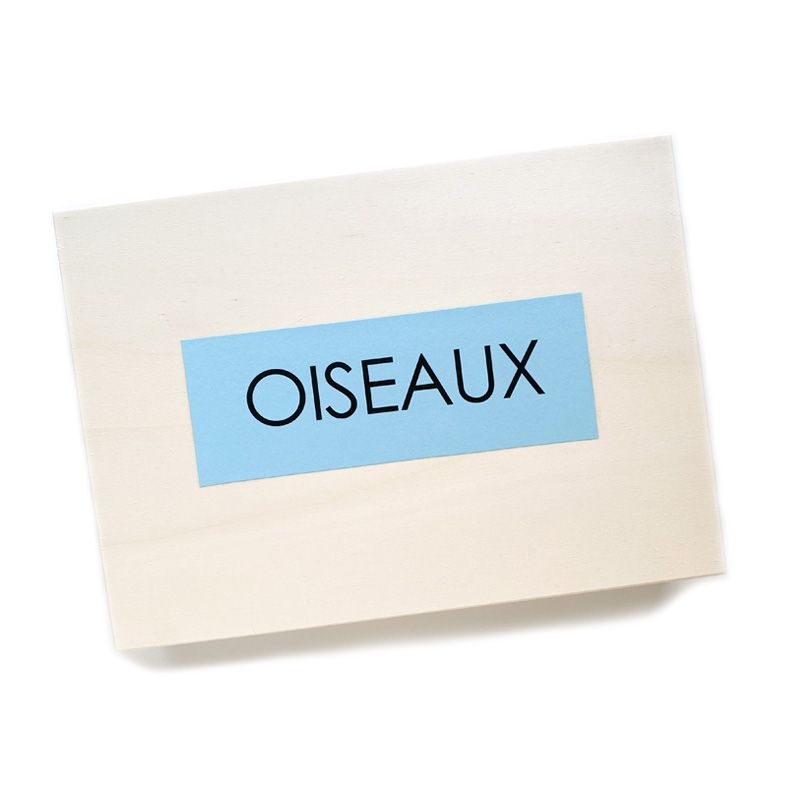 Pack de 6 Silbatos de Pájaro - Aves de Europa - Aúpa Organics