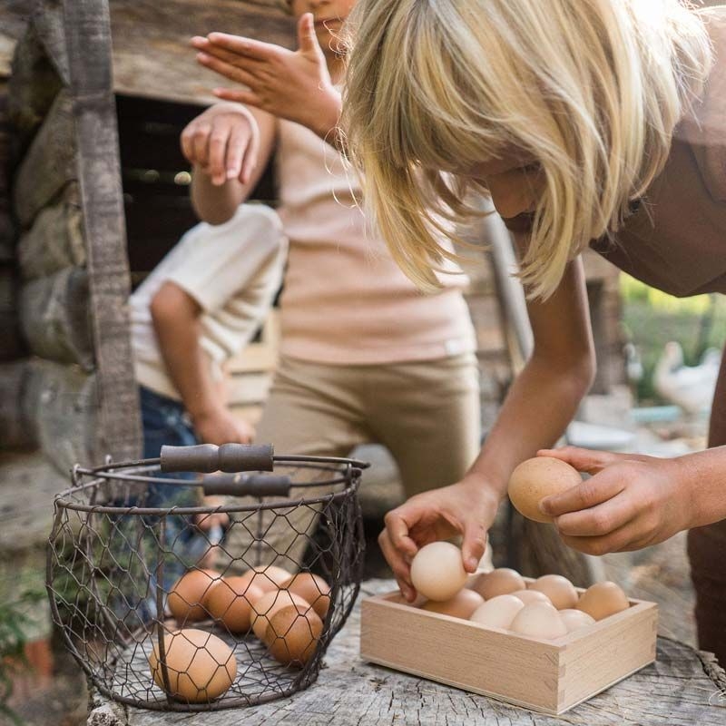 Caja de Almacenamiento de Grapat - Aúpa Organics