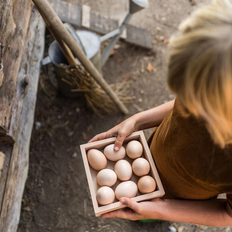 Caja de Almacenamiento de Grapat - Aúpa Organics