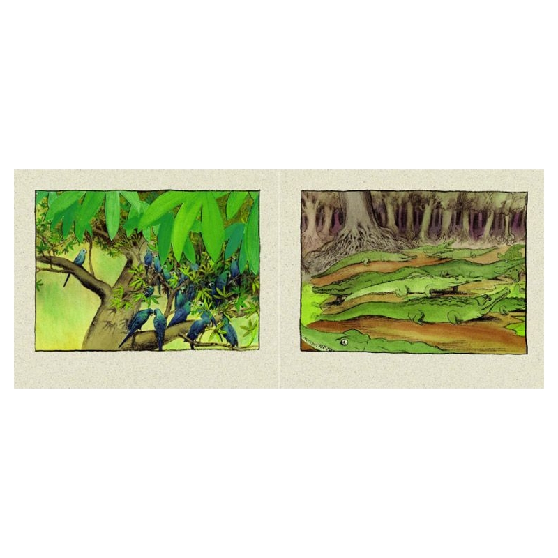 Coco y Pío de Alexis Deacon - Aúpa Organics