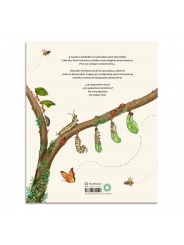 Con Calma: 50 historias de la naturaleza de Rachel Williams - Aúpa Organics