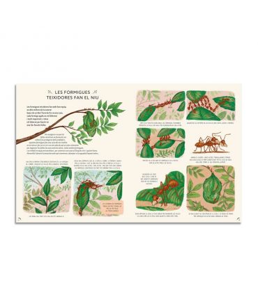 Con Calma: 50 historias de la naturaleza de Rachel Williams - Aúpa Organics