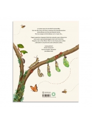 Amb Calma: 50 històries naturals de Rachel Williams - Aúpa Organics