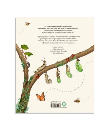 Amb Calma: 50 històries naturals de Rachel Williams - Aúpa Organics