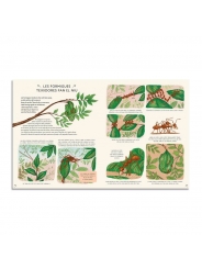 Amb Calma: 50 històries naturals de Rachel Williams - Aúpa Organics