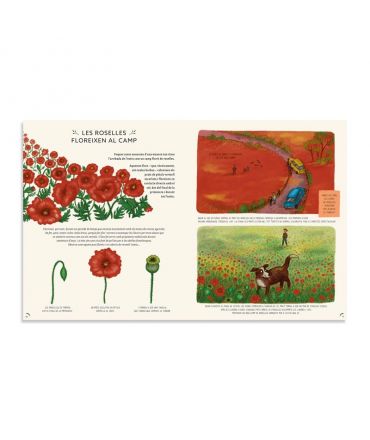 Amb Calma: 50 històries naturals de Rachel Williams - Aúpa Organics