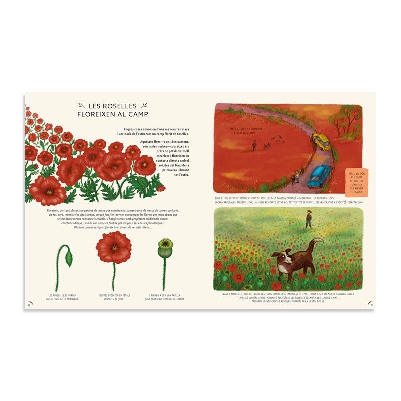 Amb Calma: 50 històries naturals de Rachel Williams - Aúpa Organics