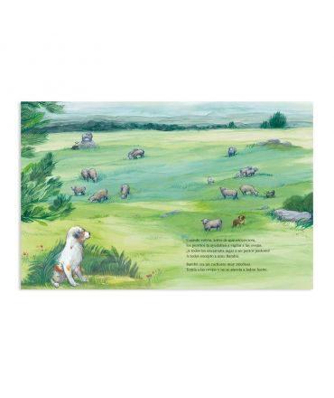 Bambú - Marta Busquets de Jover - Aúpa Organics