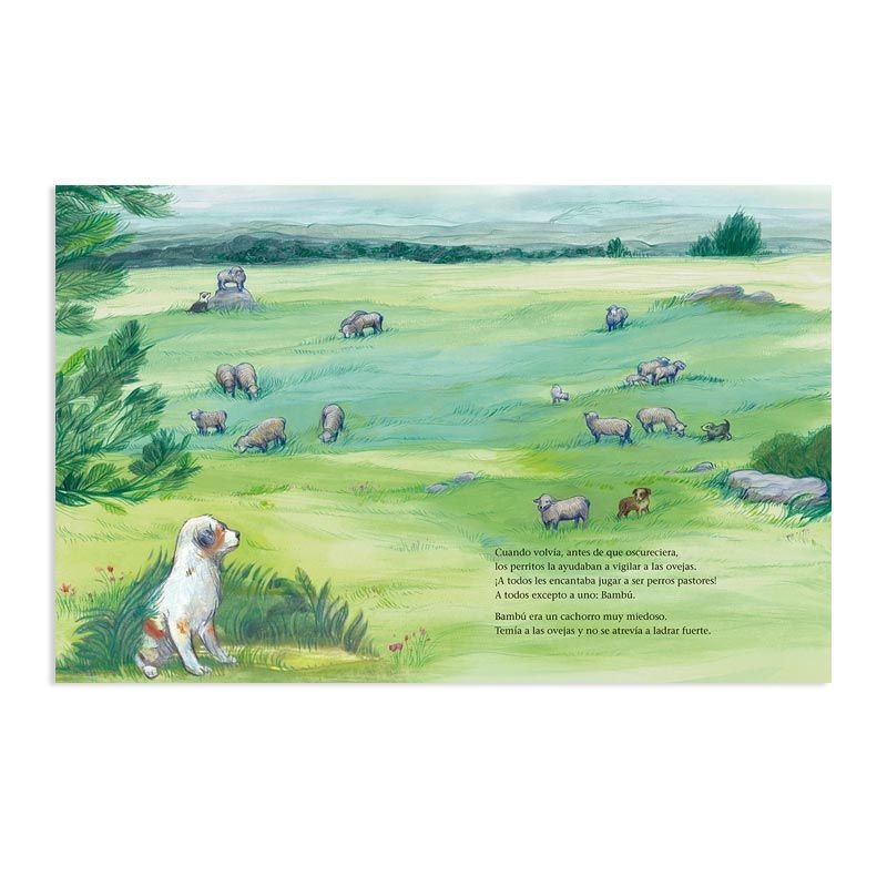 Bambú - Marta Busquets de Jover - Aúpa Organics