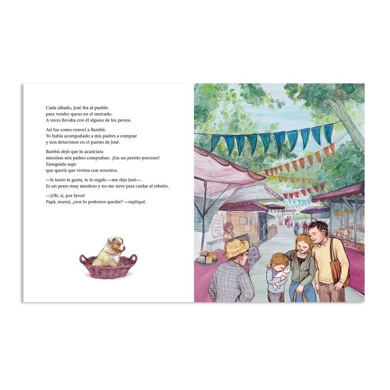 Bambú - Marta Busquets de Jover - Aúpa Organics