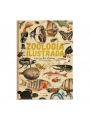 Zoología Ilustrada - Carmen Soria - Aúpa Organics