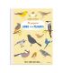 Mi pequeño libro de los pájaros - Katrin Wiehle Libros EAN_9788494818349