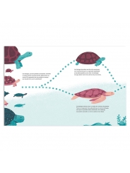 La tortuga de mar - Benoît Broyart - Aúpa Organics