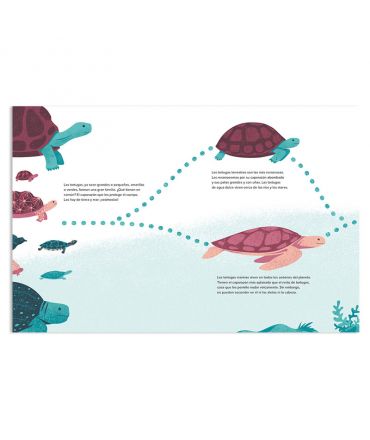 La tortuga de mar - Benoît Broyart - Aúpa Organics