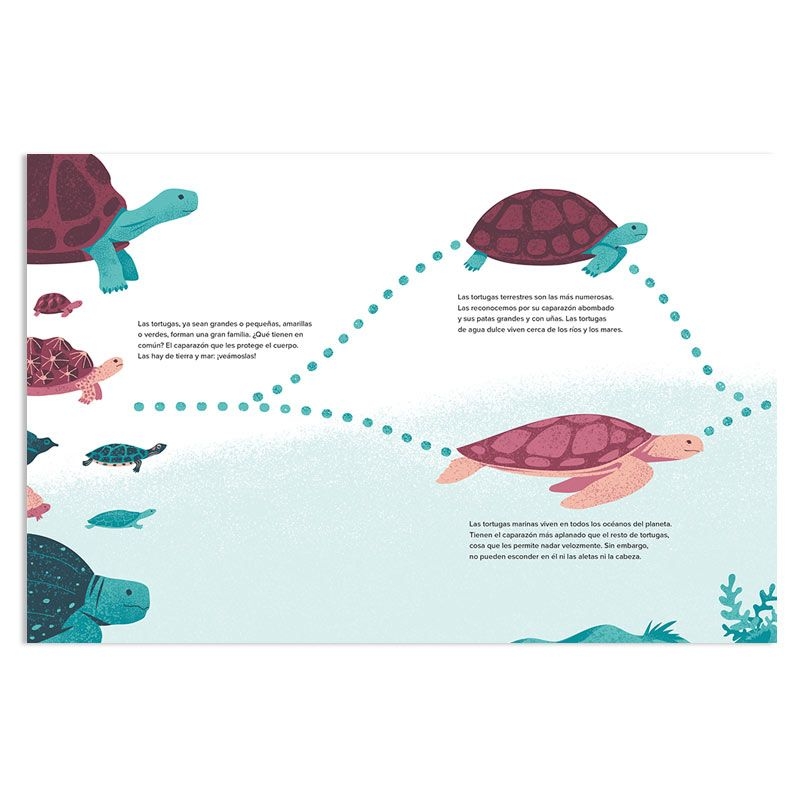 La tortuga de mar - Benoît Broyart - Aúpa Organics