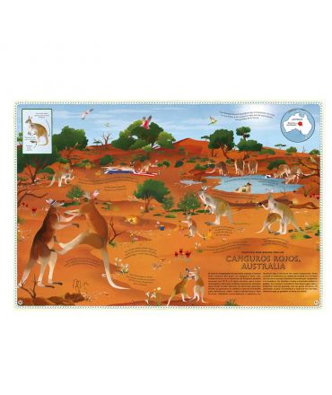 Atlas de aventuras Animales - Emily Hawkins - Aúpa Organics