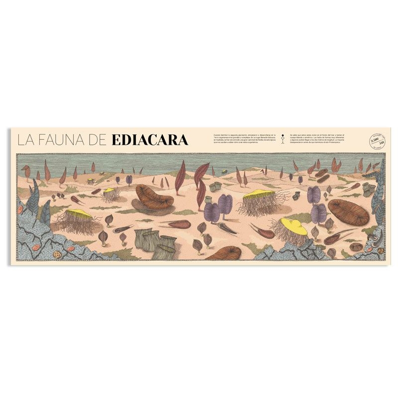 Paissatges perduts de la terra - Aina Bestard - Aúpa Organics