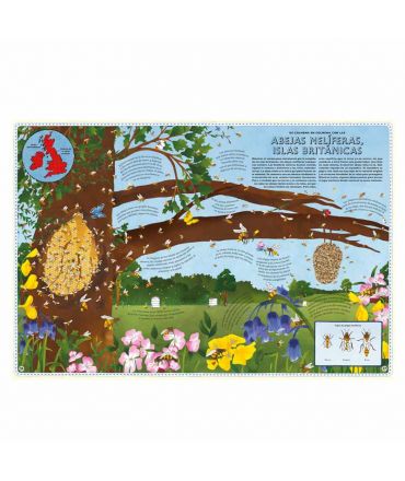 Atles d'aventures Animals - Emily Hawkins - Aúpa Organics