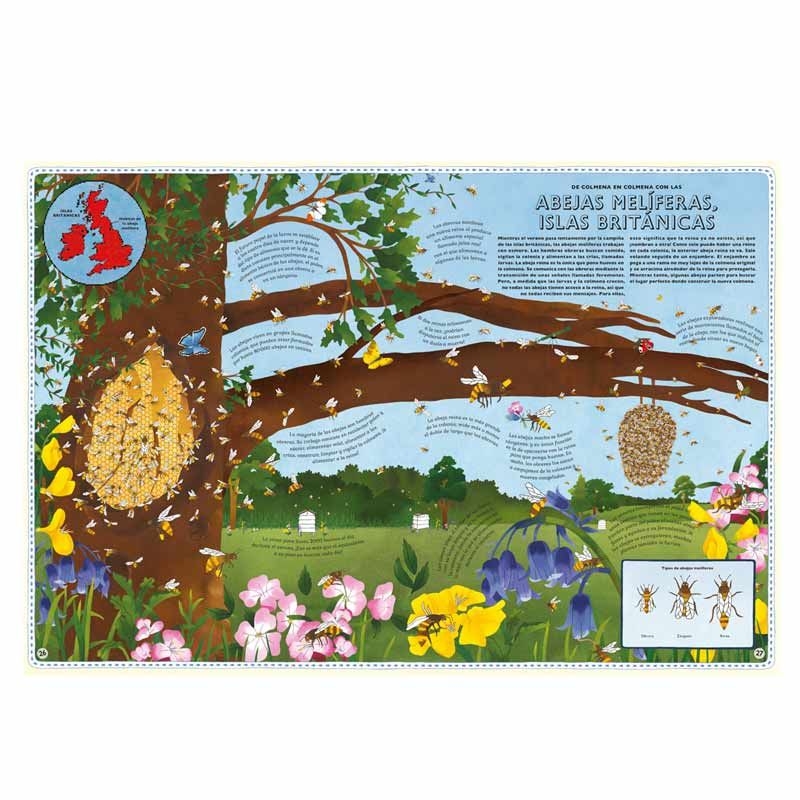 Atles d'aventures Animals - Emily Hawkins - Aúpa Organics