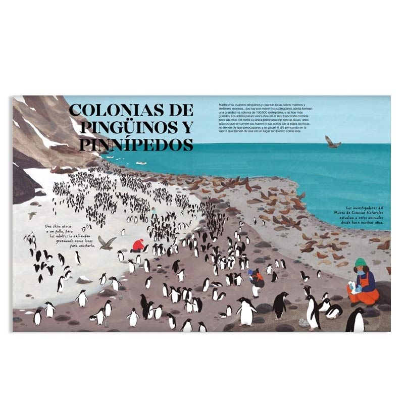 Antártida. El continente de los prodigios - Mario Cuesta Hernando - Aúpa Organics