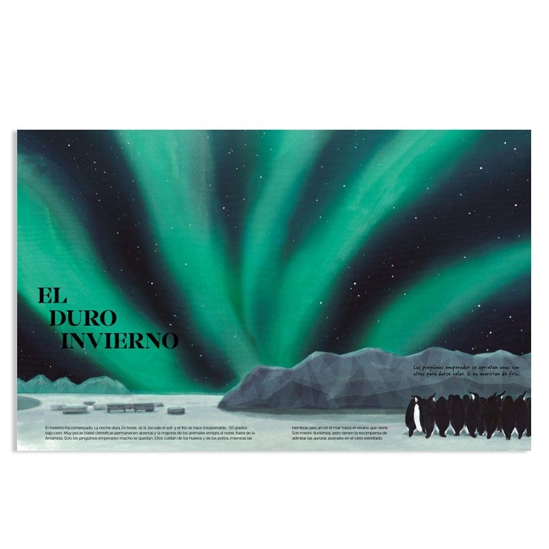 Antártida. El continente de los prodigios - Mario Cuesta Hernando - Aúpa Organics