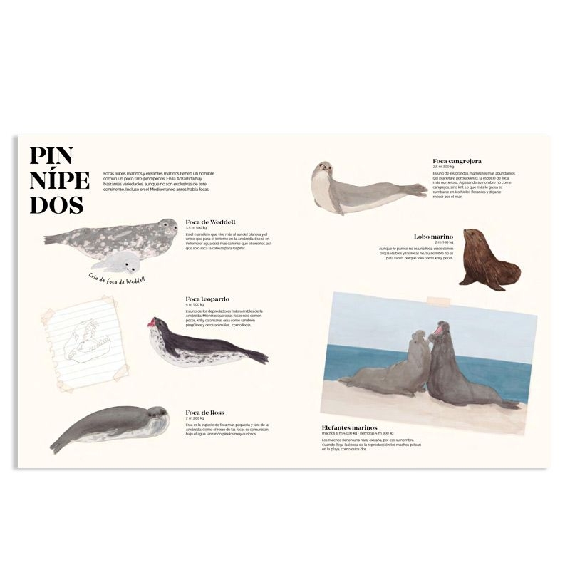 Antártida. El continente de los prodigios - Mario Cuesta Hernando - Aúpa Organics