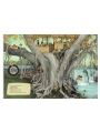 Tot el que cal per fer una casa en un arbre - Carter Higgings & Emily Hughes - Aúpa Organics