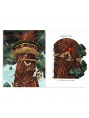 Tot el que cal per fer una casa en un arbre - Carter Higgings & Emily Hughes - Aúpa Organics