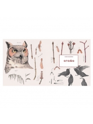 El diario del naturalista - Nathaniel T. Wheelwright & Bernd Heinrich - Aúpa Organics