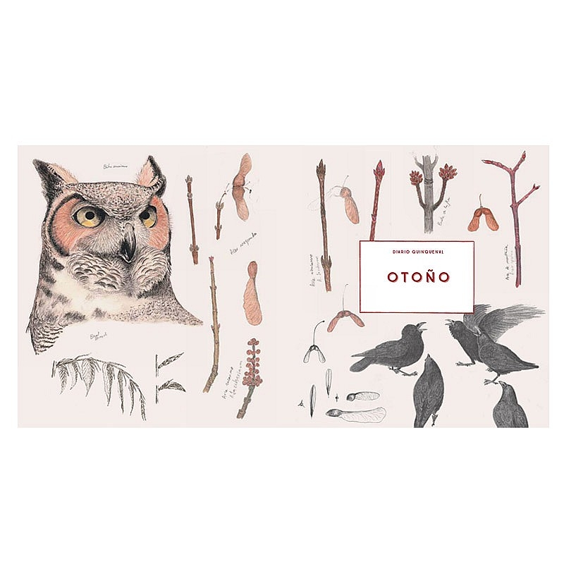 El diario del naturalista - Nathaniel T. Wheelwright & Bernd Heinrich - Aúpa Organics