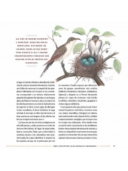 El diario del naturalista - Nathaniel T. Wheelwright & Bernd Heinrich - Aúpa Organics