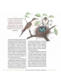El diario del naturalista - Nathaniel T. Wheelwright & Bernd Heinrich - Aúpa Organics
