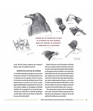 El diario del naturalista - Nathaniel T. Wheelwright & Bernd Heinrich - Aúpa Organics