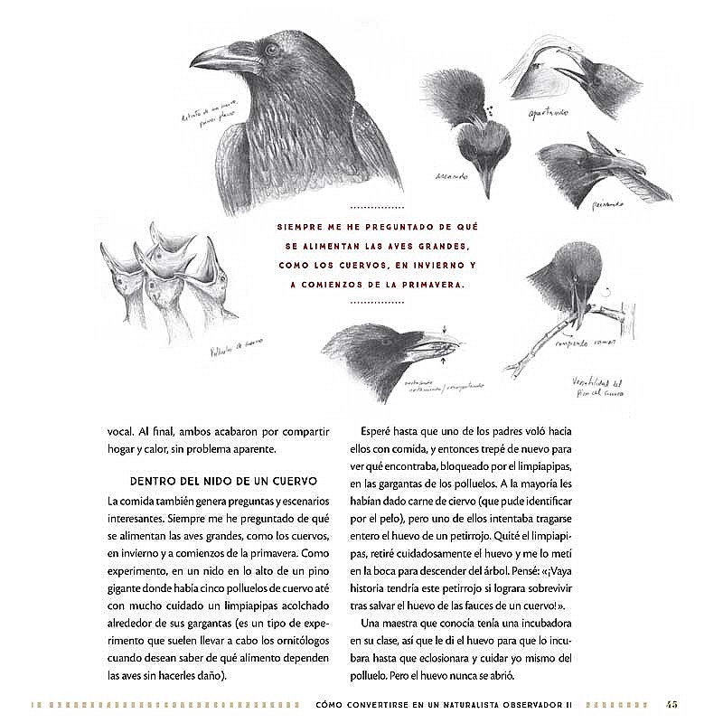 El diario del naturalista - Nathaniel T. Wheelwright & Bernd Heinrich - Aúpa Organics