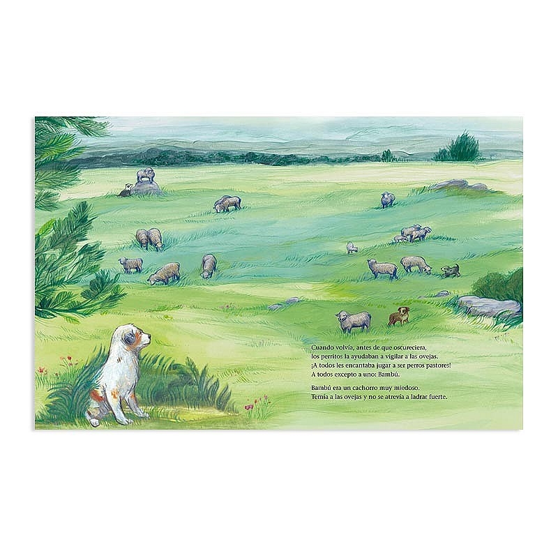 Bambú - Marta Busquets de Jover - Aúpa Organics