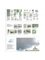 ¿Dónde van cuando llueve? - Gerda Muller - Aúpa Organics