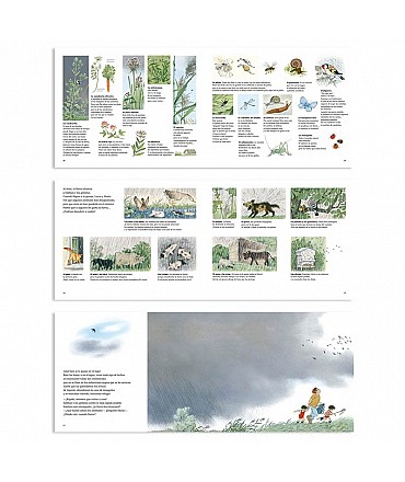 ¿Dónde van cuando llueve? - Gerda Muller - Aúpa Organics