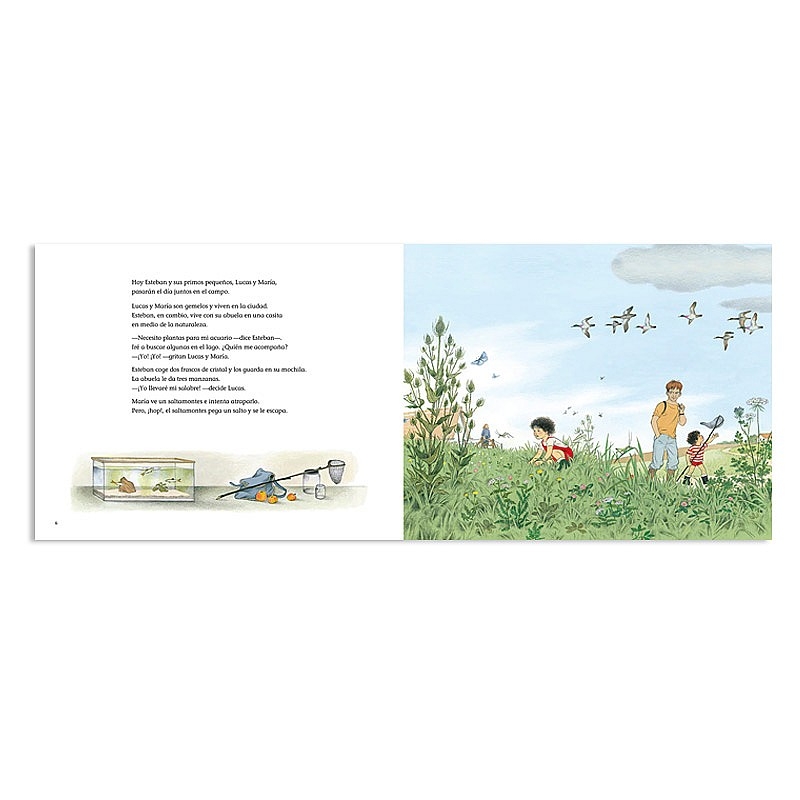 ¿Dónde van cuando llueve? - Gerda Muller - Aúpa Organics