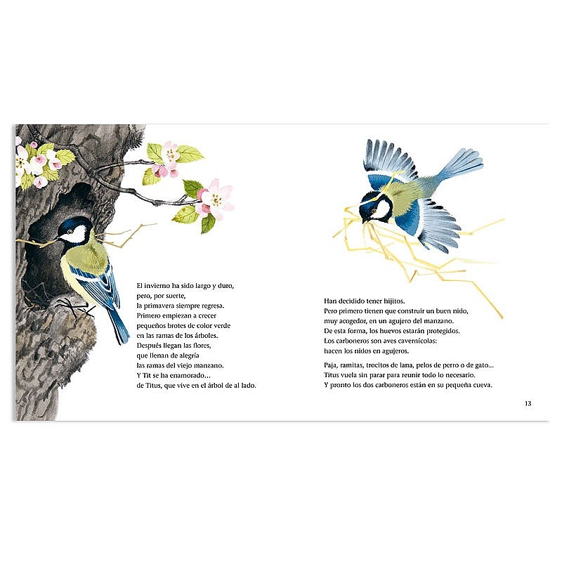 El nido de Tit - Gerda Muller - Aúpa Organics