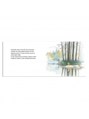 El petit castor - Amy MacDonald & Sarah Fox-Davies - Aúpa Organics