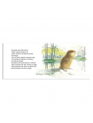 El petit castor - Amy MacDonald & Sarah Fox-Davies - Aúpa Organics