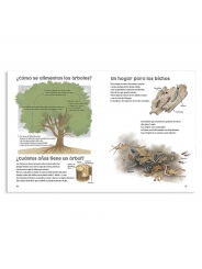 Un año alrededor del gran roble - Gerda Muller - Aúpa Organics