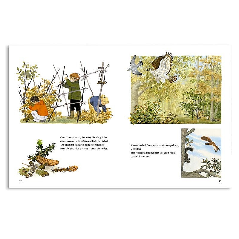 Un año alrededor del gran roble - Gerda Muller - Aúpa Organics