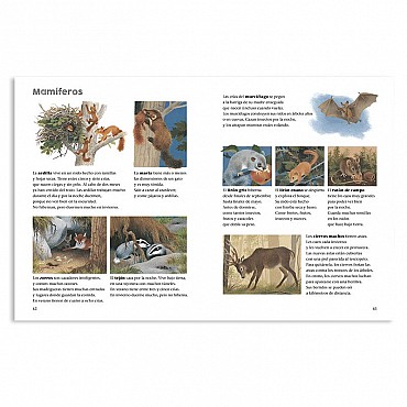 Un any al voltant del gran roure - Gerda Muller - Aúpa Organics