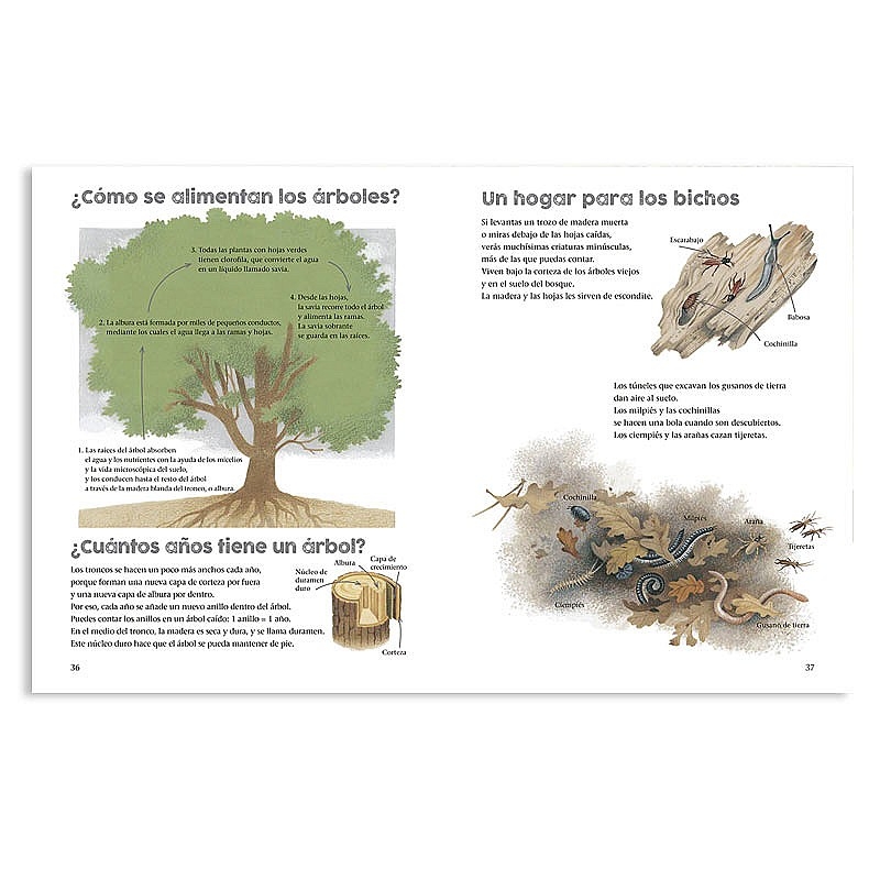 Un any al voltant del gran roure - Gerda Muller - Aúpa Organics