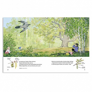 Un any al voltant del gran roure - Gerda Muller - Aúpa Organics