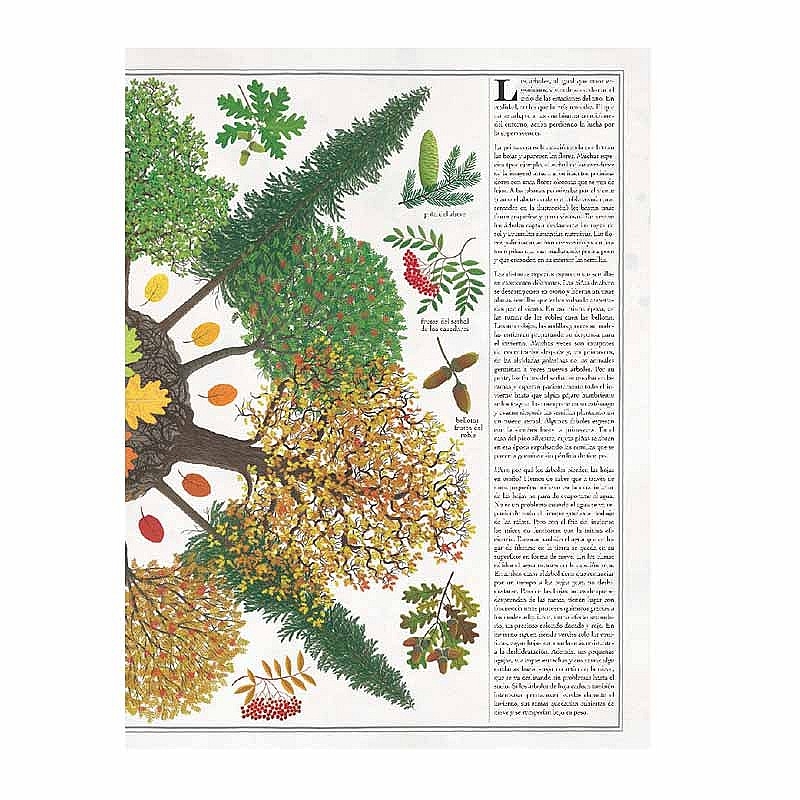 Árboles - Piotr Socha - Aúpa Organics